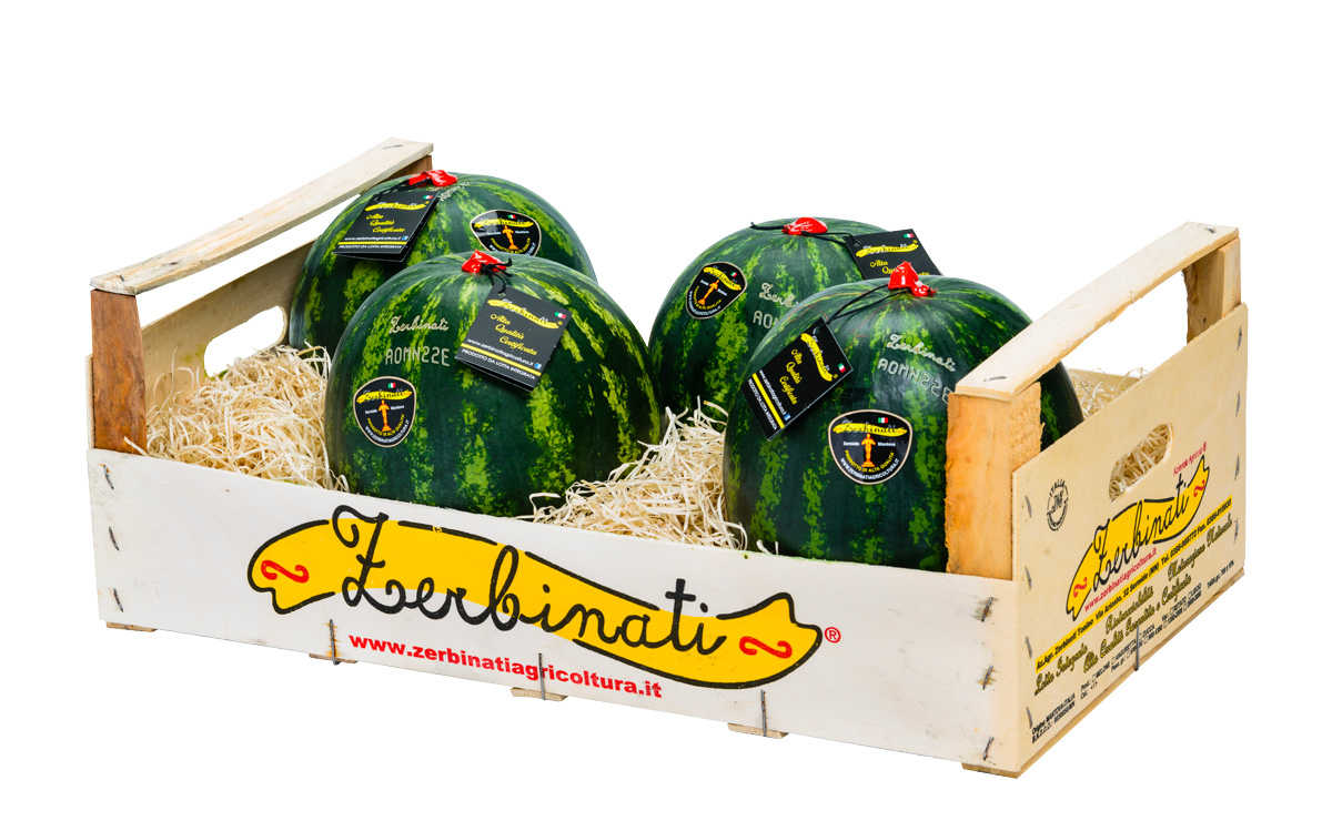 Meloni Rigati Zerbinati Agricoltura